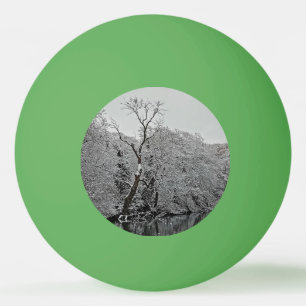 Balle De Ping Pong Les arbres, au bord de l'eau