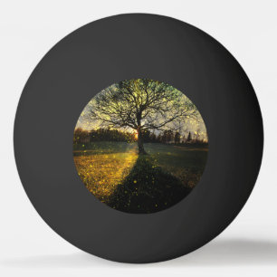 Balle De Ping Pong Les lucioles magiques paysage onirique