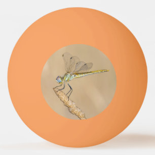 Balle De Ping Pong Libellule Skimmer Femelle Insecte (CC BY 4.0) Ping
