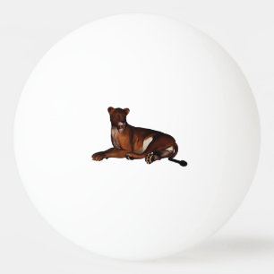 Balle De Ping Pong Löwe