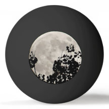 Lune derrière feuilles sombres