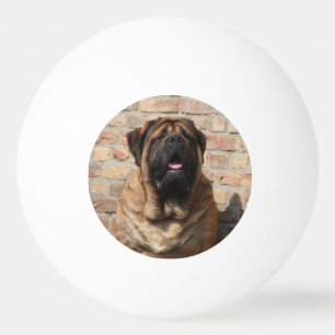 Balle De Ping Pong Mastiff dogue anglais fête des pères