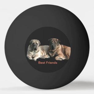 Balle De Ping Pong Meilleurs amis des Mastiffs