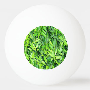 Balle De Ping Pong Motif Feuille verdoyant - Nature Botanique