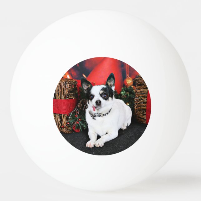 Balle De Ping Pong Noël - chiwawa X - Stella (Dos)