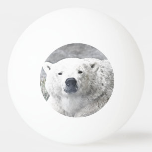 Balle De Ping Pong Ours polaire aquarelle