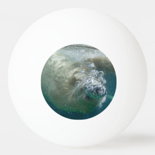 Balle De Ping Pong Ours polaire sous l'eau