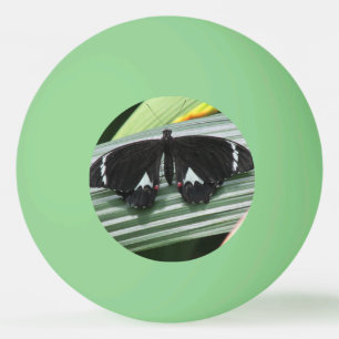 Balle De Ping Pong Papillon tropical noir et blanc