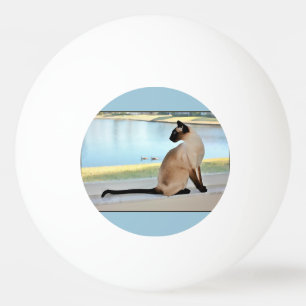 Balle De Ping Pong Peinture paisible de chat siamois