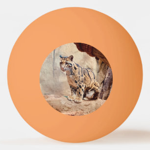 Balle De Ping Pong photo de léopard nuageux nature faune exotique
