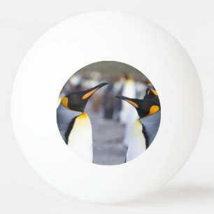 Balle De Ping Pong Pingouins du Roi