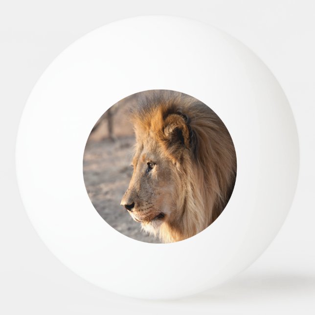 Balle De Ping Pong Portrait de Lion (Dos)