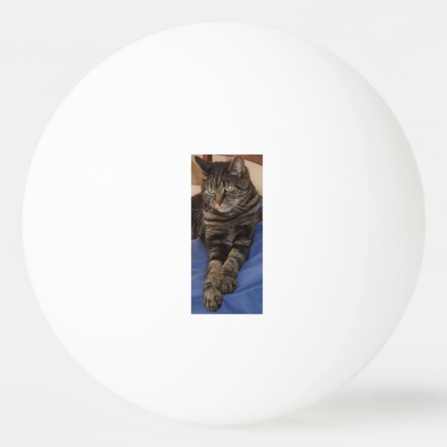 Balle De Ping Pong Regal Dave Une Étoile Ping Pong Ball (Devant)