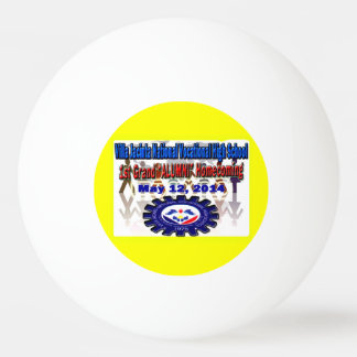Balle De Ping Pong Réunion Villa Jacinta 2014