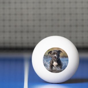 Balle De Ping Pong Robuste Puppy S'Éclatant Dans La Mer,