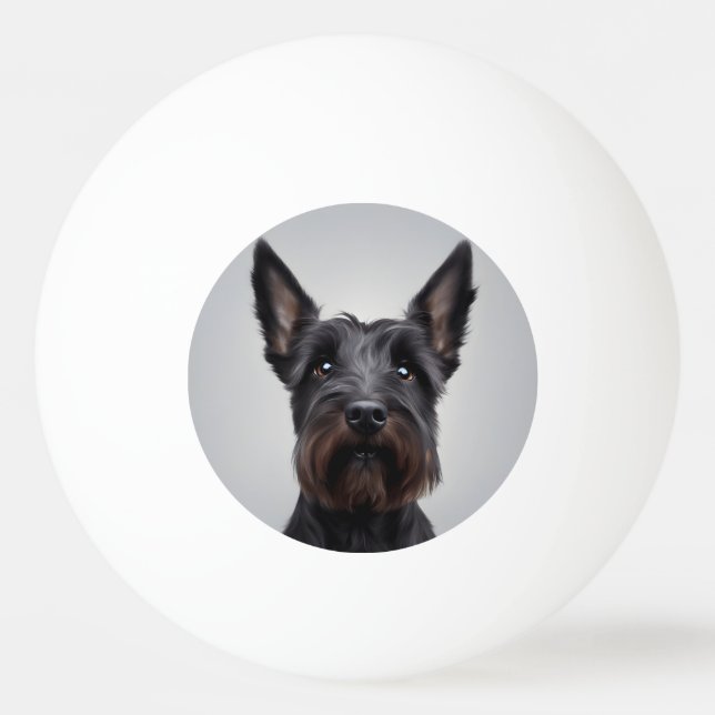 Balle De Ping Pong Scottish Terrier (Devant)