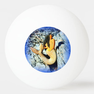 Balle De Ping Pong sirène à poil noir