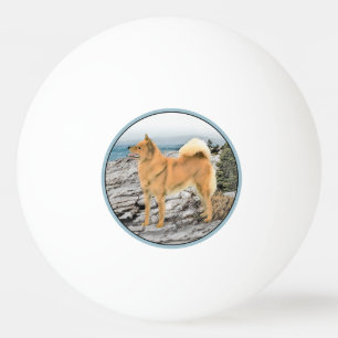Balle De Ping Pong Spitz finlandais à Seashore Peinture - Chien Art