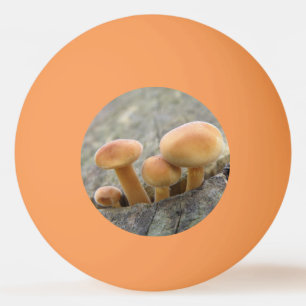 Balle De Ping Pong Tabourets sur un arbre Trunk Ping Pong Ball