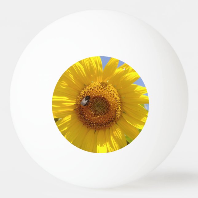 Balle De Ping Pong Tournesol jaune (Devant)