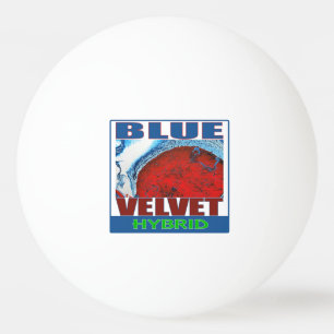 BALLE DE PING PONG VELVET BLEU HYBRIDE