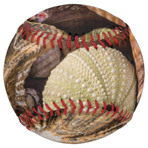 Balle De Softball Baseball Mélange Sea Shells