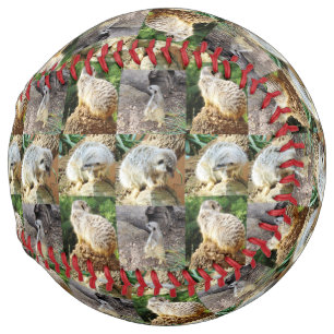 Balle De Softball Collage photo Sleepy Meerkat, softball
