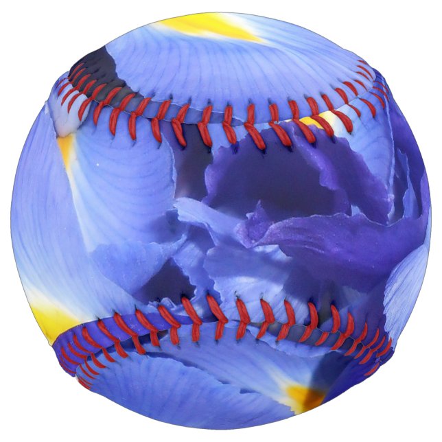Balle De Softball Ermengarde (Devant)