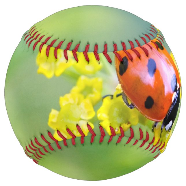 Balle De Softball femme au sommet (Devant)