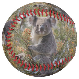 Balle De Softball Grevillea Koala Bear,