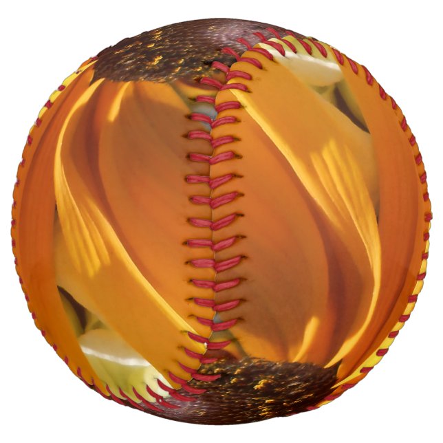 Balle De Softball Halte (Incliné)