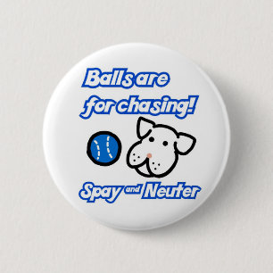 Bälle sind für das Jagen niedlich spay sächlich Button