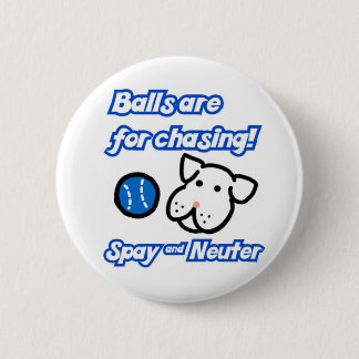 Bälle sind für das Jagen niedlich spay sächliches Button