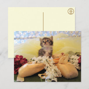 Ballerina Kate Cat / Kitten Postcard Postkarte