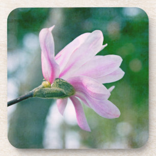 Ballerina Magnolia Getränkeuntersetzer