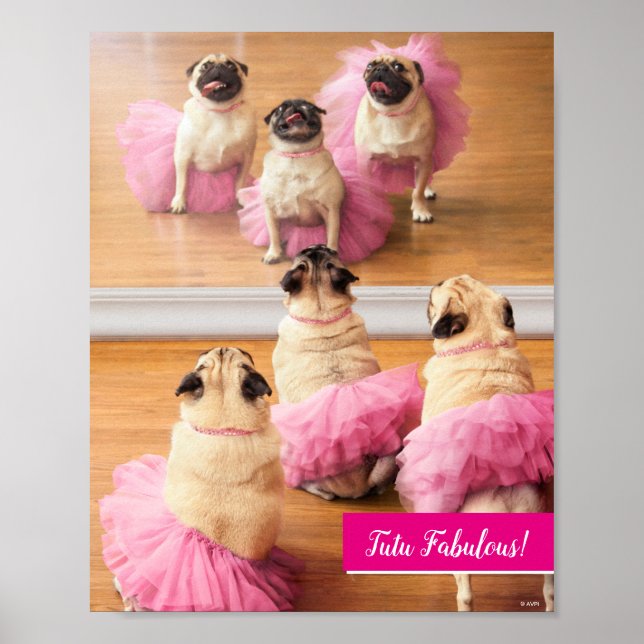 Ballerina-Mops in Tutus Poster (Vorne)