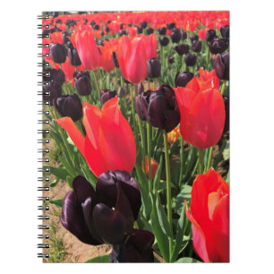 Ballerina & Queen of the Night Tulips Notizblock