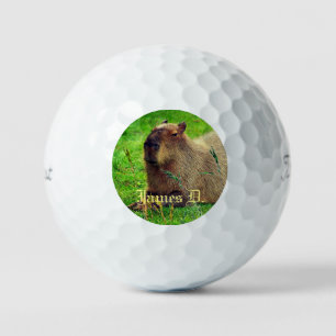 Balles De Golf 12 Pack - Animaux Capybara Personnalisés amusants