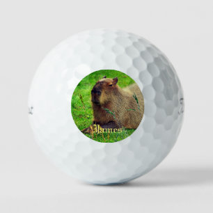 Balles De Golf 3 pack amusant Capybara animal personnalisé