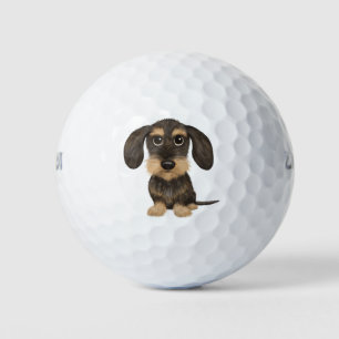 Balles De Golf À poils durs Dachshund   Teckel de chien de carica