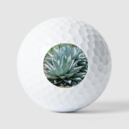Balles De Golf Agave Succulent Plante Cactus Vert sauge