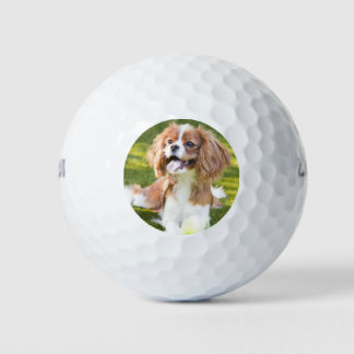 Balles De Golf Ajoutez votre photo d'animal de compagnie personna