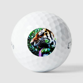Balles De Golf Amur Tiger css gbcna