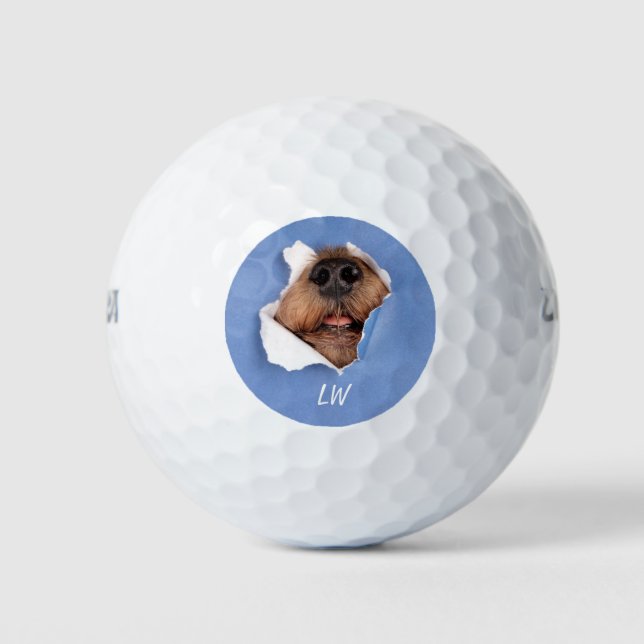 Balles De Golf Amusant chien nez animal Humour Monogramme Art (Devant)