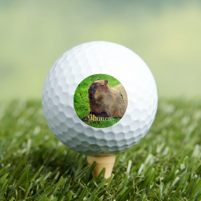 Balles De Golf Animaux de Capybara Fun Personnalisés (T-shirt Insitu)