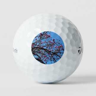 Balles De Golf Arbre tulipe en fleur