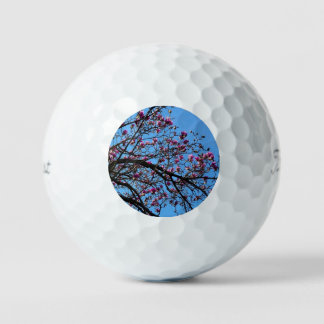 Balles De Golf Arbre tulipe en fleur