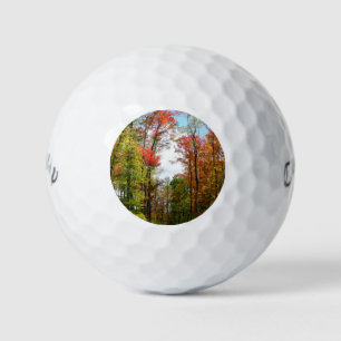 Balles De Golf Automnes Arbres et Ciel bleu Automne Photographie 