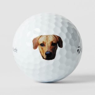 Balles de golf avec visage de chien personnalisées