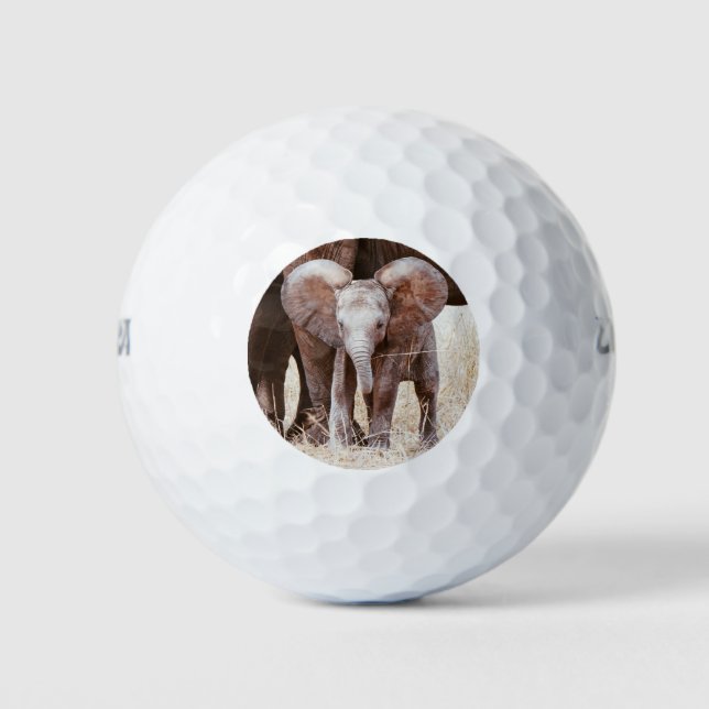 Balles De Golf Baby Elephant mignon Eléphant africain avec maman (Devant)